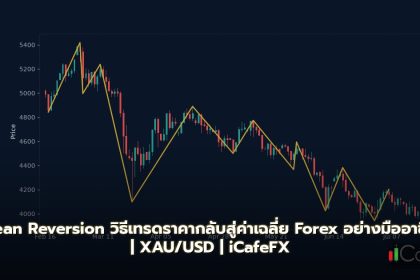 Mean Reversion วิธีเทรดราคากลับสู่ค่าเฉลี่ย Forex อย่างมืออาชีพ