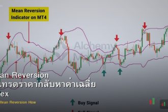 Mean Reversion วิธีเทรดราคากลับหาค่าเฉลี่ย Forex