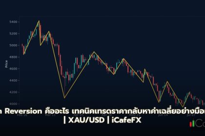Mean Reversion คืออะไร เทคนิคเทรดราคากลับหาค่าเฉลี่ยอย่างมืออาชีพ