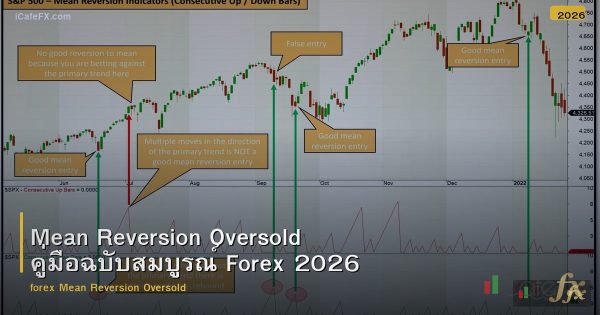 Mean Reversion Oversold คู่มือฉบับสมบูรณ์ Forex 2026