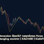 Mean Reversion คืออะไร? กลยุทธ์เทรด Forex ในตลาด Ranging แบบเทพ