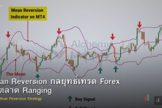 Mean Reversion กลยุทธ์เทรด Forex ในตลาด Ranging