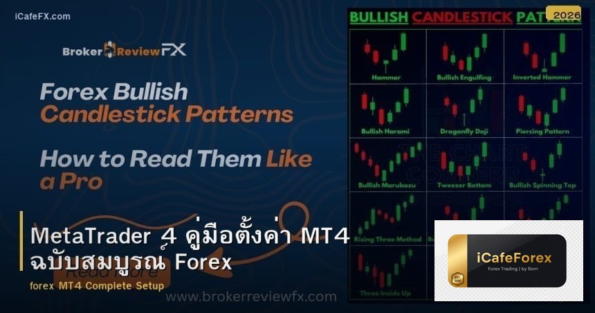 MetaTrader 4 คู่มือตั้งค่า MT4 ฉบับสมบูรณ์ Forex