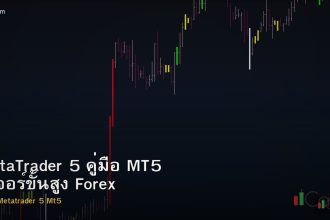 MetaTrader 5 คู่มือ MT5 ฟีเจอร์ขั้นสูง Forex