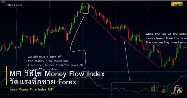 MFI วิธีใช้ Money Flow Index วัดแรงซื้อขาย Forex