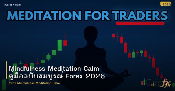 Mindfulness Meditation Calm คู่มือฉบับสมบูรณ์ Forex 2026