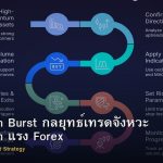 Momentum Burst กลยุทธ์เทรดจังหวะ Momentum แรง Forex