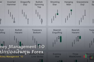 Money Management 10 กฎปกป้องเงินทุน Forex