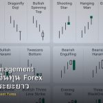 Money Management วิธีบริหารเงินทุน Forex ให้อยู่รอดระยะยาว