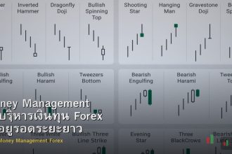 Money Management วิธีบริหารเงินทุน Forex ให้อยู่รอดระยะยาว