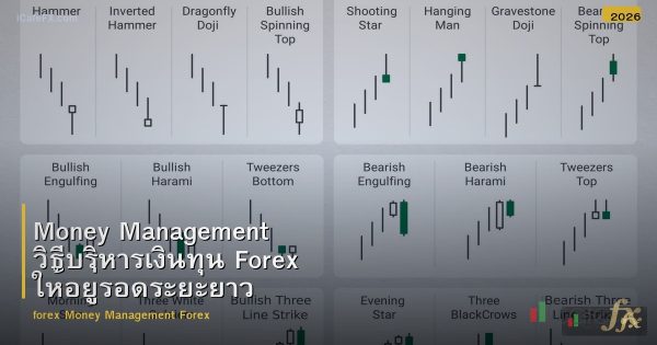 Money Management วิธีบริหารเงินทุน Forex ให้อยู่รอดระยะยาว
