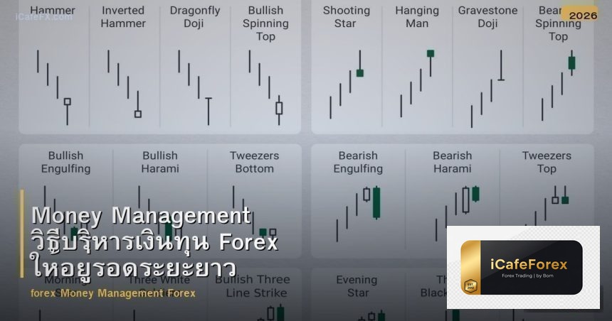 Money Management วิธีบริหารเงินทุน Forex ให้อยู่รอดระยะยาว