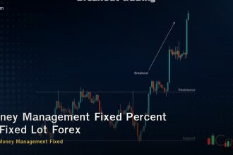Money Management Fixed Percent vs Fixed Lot Forex