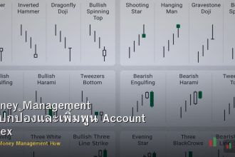 Money Management วิธีปกป้องและเพิ่มพูน Account Forex