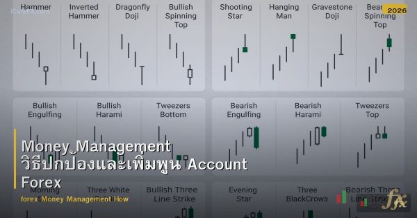 Money Management วิธีปกป้องและเพิ่มพูน Account Forex
