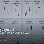 Money Management กฎจัดการเงินที่เทรดเดอร์ Forex ต้องรู้