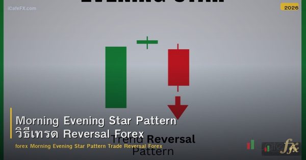 Morning Evening Star Pattern วิธีเทรด Reversal Forex