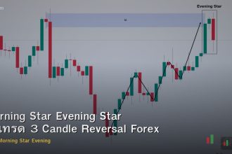 Morning Star Evening Star วิธีเทรด 3 Candle Reversal Forex