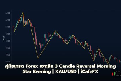 Morning Star Evening Star วิธีเทรด 3 Candle Reversal Forex