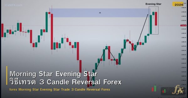 Morning Star Evening Star วิธีเทรด 3 Candle Reversal Forex