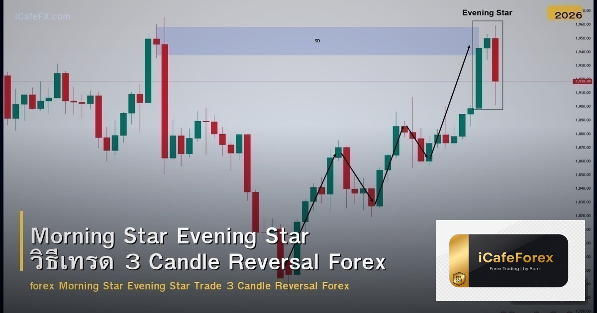Morning Star Evening Star วิธีเทรด 3 Candle Reversal Forex