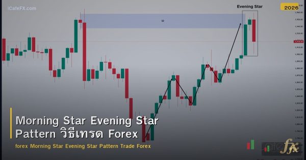 Morning Star Evening Star Pattern วิธีเทรด Forex