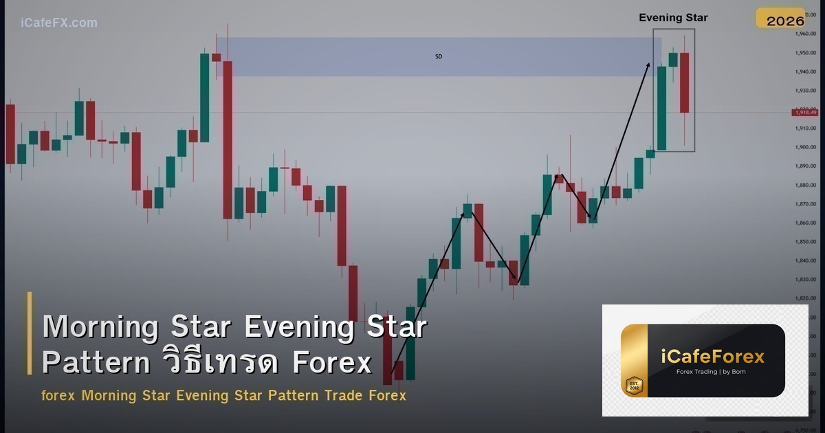 Morning Star Evening Star Pattern วิธีเทรด Forex
