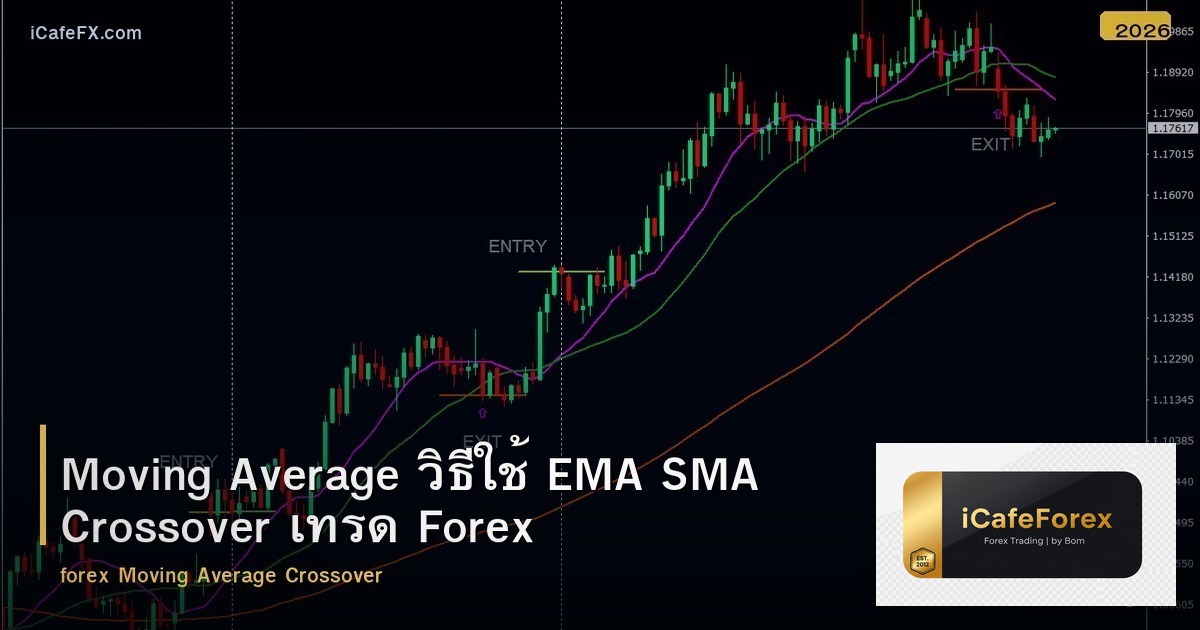 Moving Average วิธีใช้ EMA SMA Crossover เทรด Forex