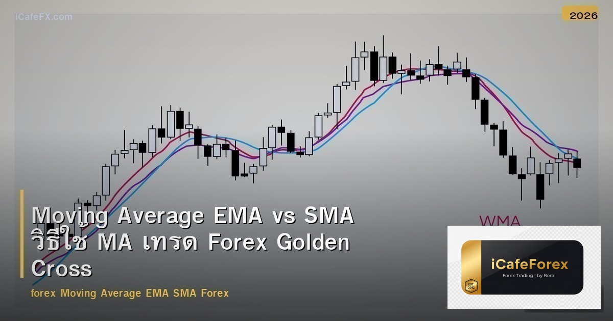 Moving Average EMA vs SMA วิธีใช้ MA เทรด Forex Golden Cross Death Cross