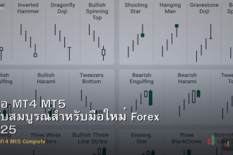 คู่มือ MT4 MT5 ฉบับสมบูรณ์สำหรับมือใหม่ Forex 2025