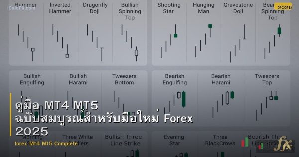 คู่มือ MT4 MT5 ฉบับสมบูรณ์สำหรับมือใหม่ Forex 2025