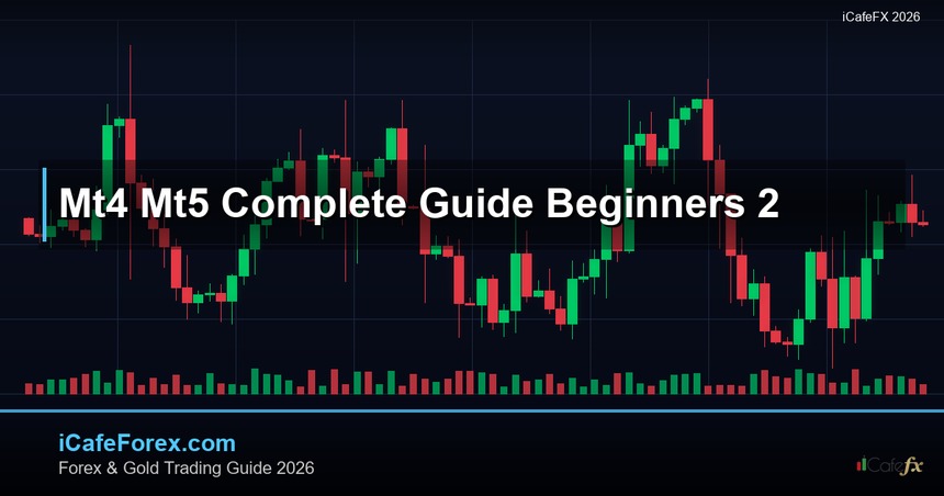 คู่มือ MT4 MT5 ฉบับสมบูรณ์สำหรับมือใหม่ Forex 2025