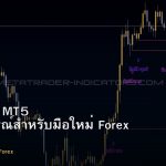 คู่มือ MT4 MT5 ฉบับสมบูรณ์สำหรับมือใหม่ Forex 2025