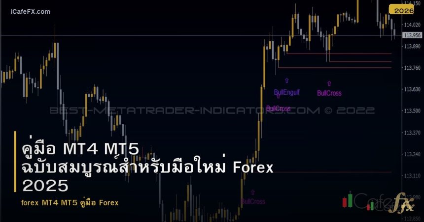 คู่มือ MT4 MT5 ฉบับสมบูรณ์สำหรับมือใหม่ Forex 2025