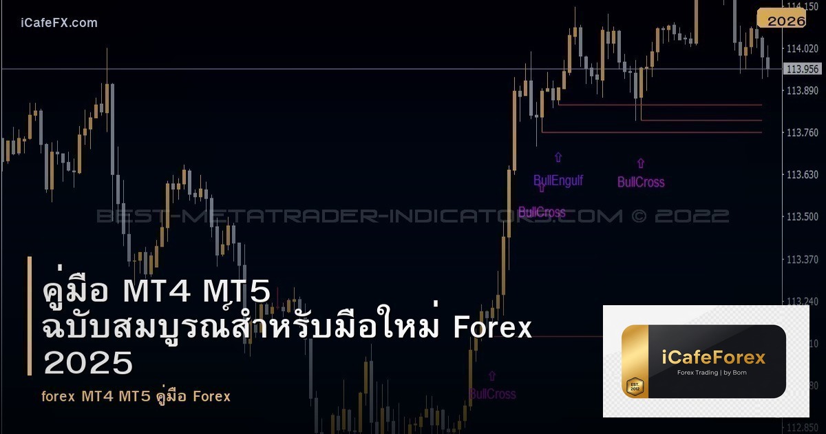 คู่มือ MT4 MT5 ฉบับสมบูรณ์สำหรับมือใหม่ Forex 2025