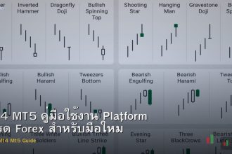 MT4 MT5 คู่มือใช้งาน Platform เทรด Forex สำหรับมือใหม่