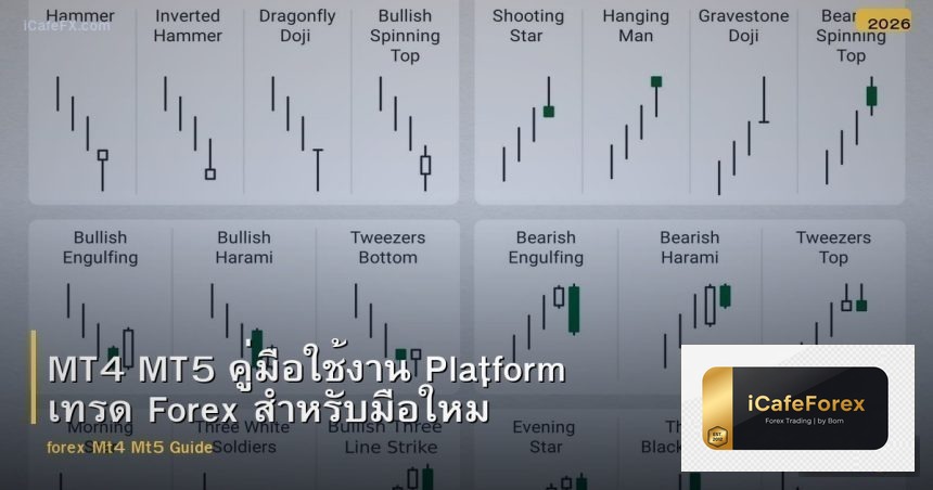 MT4 MT5 คู่มือใช้งาน Platform เทรด Forex สำหรับมือใหม่