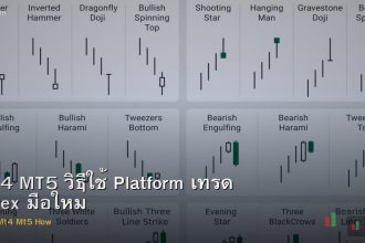 MT4 MT5 วิธีใช้ Platform เทรด Forex มือใหม่
