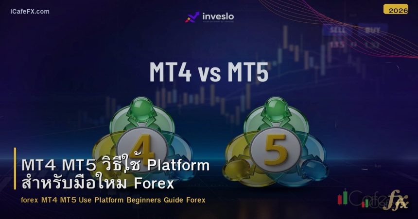 MT4 MT5 วิธีใช้ Platform สำหรับมือใหม่ Forex