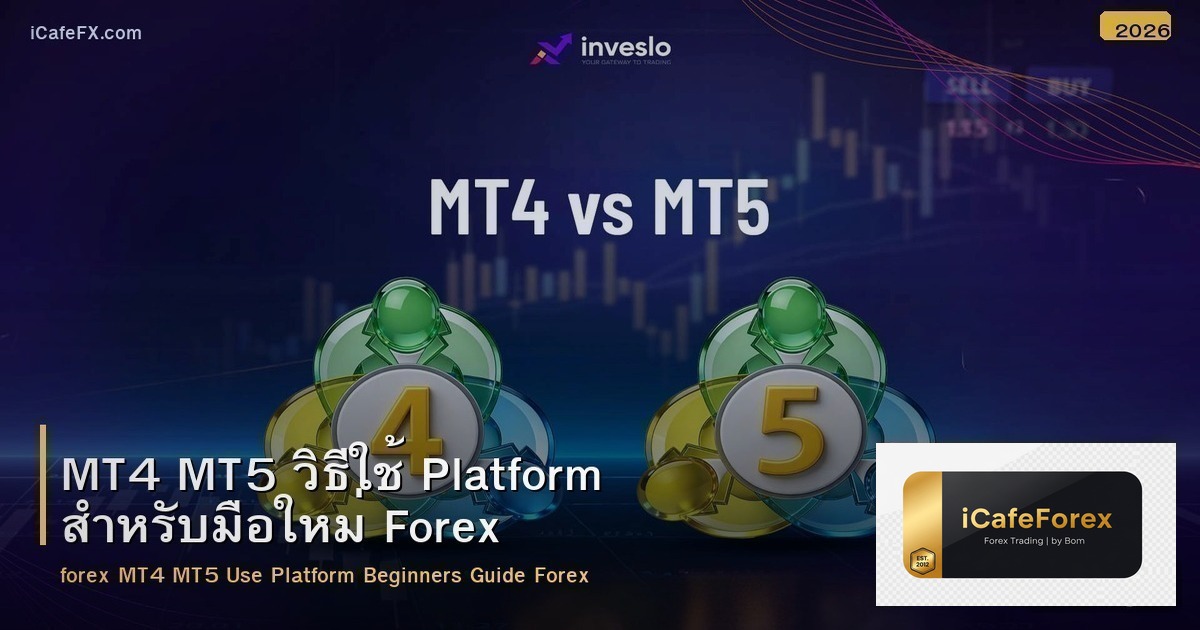 MT4 MT5 วิธีใช้ Platform สำหรับมือใหม่ Forex