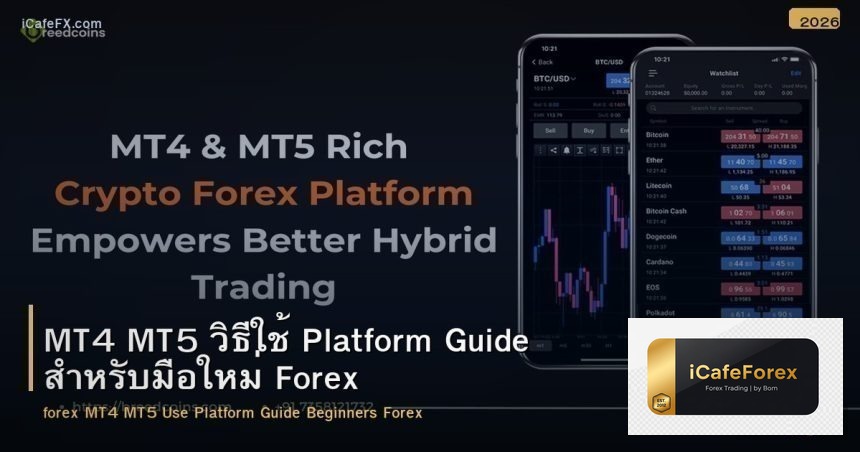 MT4 MT5 วิธีใช้ Platform Guide สำหรับมือใหม่ Forex