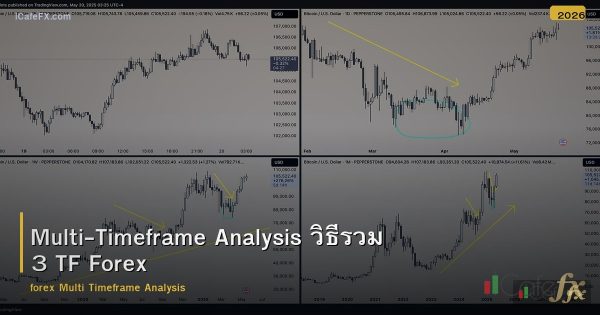Multi-Timeframe Analysis วิธีรวม 3 TF Forex