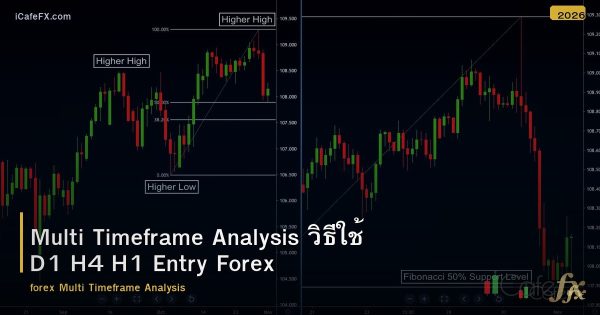 Multi Timeframe Analysis วิธีใช้ D1 H4 H1 Entry Forex