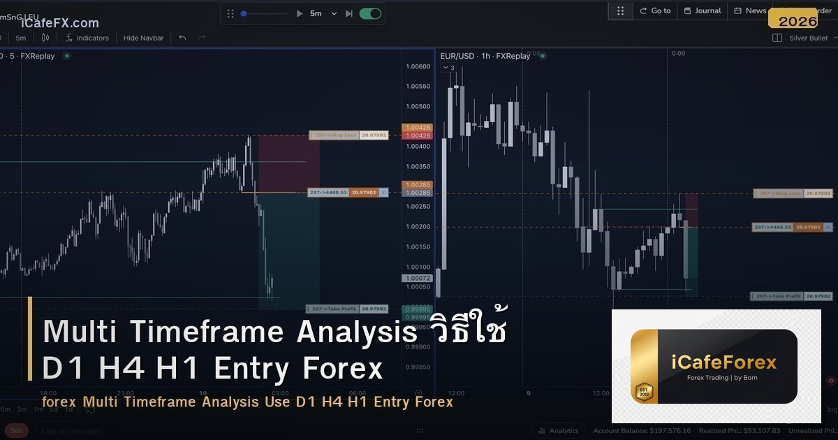 Multi Timeframe Analysis วิธีใช้ D1 H4 H1 Entry Forex