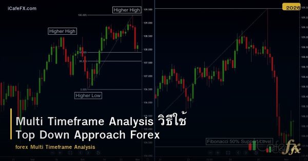 Multi Timeframe Analysis วิธีใช้ Top Down Approach Forex