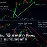 News Trading วิธีเทรดข่าว Forex High Impact อย่างปลอดภัย