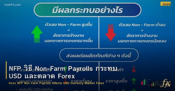 NFP วิธี Non-Farm Payrolls กระทบ USD และตลาด Forex