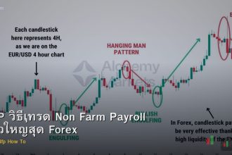 NFP วิธีเทรด Non Farm Payroll ข่าวใหญ่สุด Forex