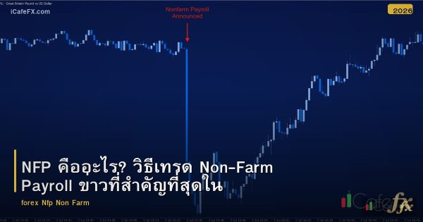 NFP คืออะไร? วิธีเทรด Non-Farm Payroll ข่าวที่สำคัญที่สุดใน Forex