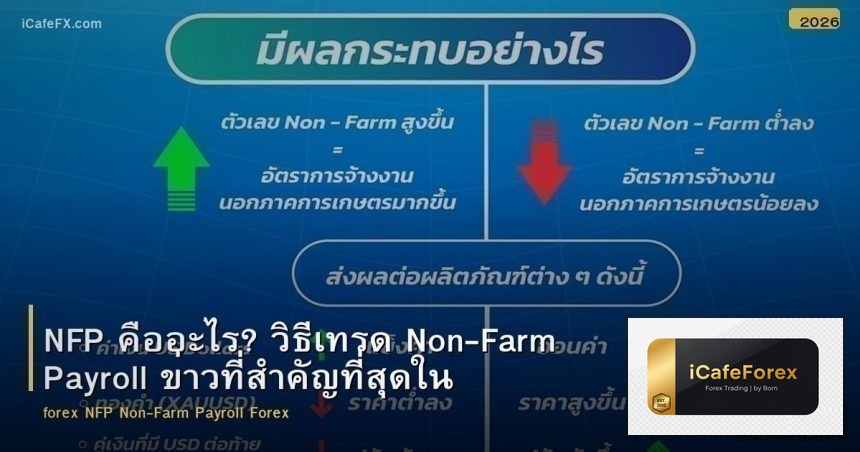NFP คืออะไร? วิธีเทรด Non-Farm Payrolls ใน Forex อย่างปลอดภัย